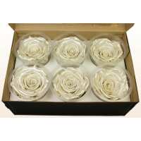 Read The Rosepetalshop | Sweet Colours Reviews